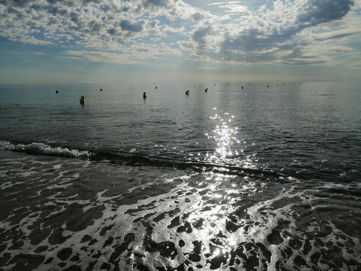 Palm Beach Le Barcarès Zewnętrze zdjęcie